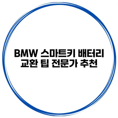 BMW 스마트키 배터리 교환 팁 전문가 추천