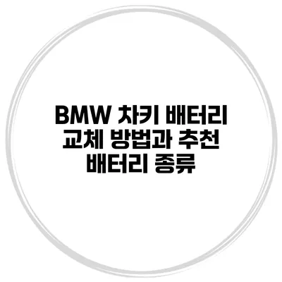 BMW 차키 배터리 교체 방법과 추천 배터리 종류