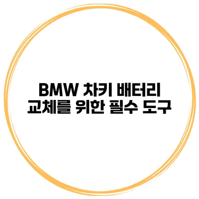 BMW 차키 배터리 교체를 위한 필수 도구