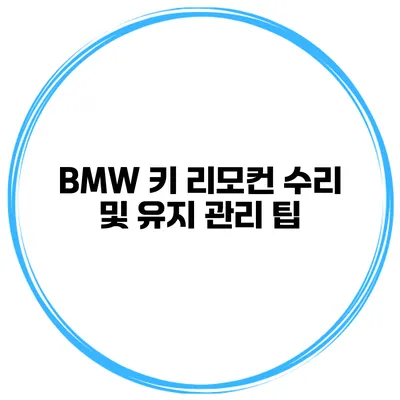 BMW 키 리모컨 수리 및 유지 관리 팁