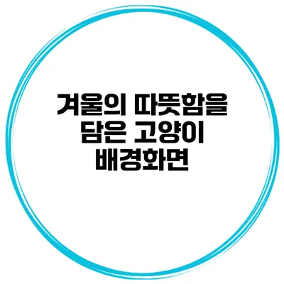 겨울의 따뜻함을 담은 고양이 배경화면