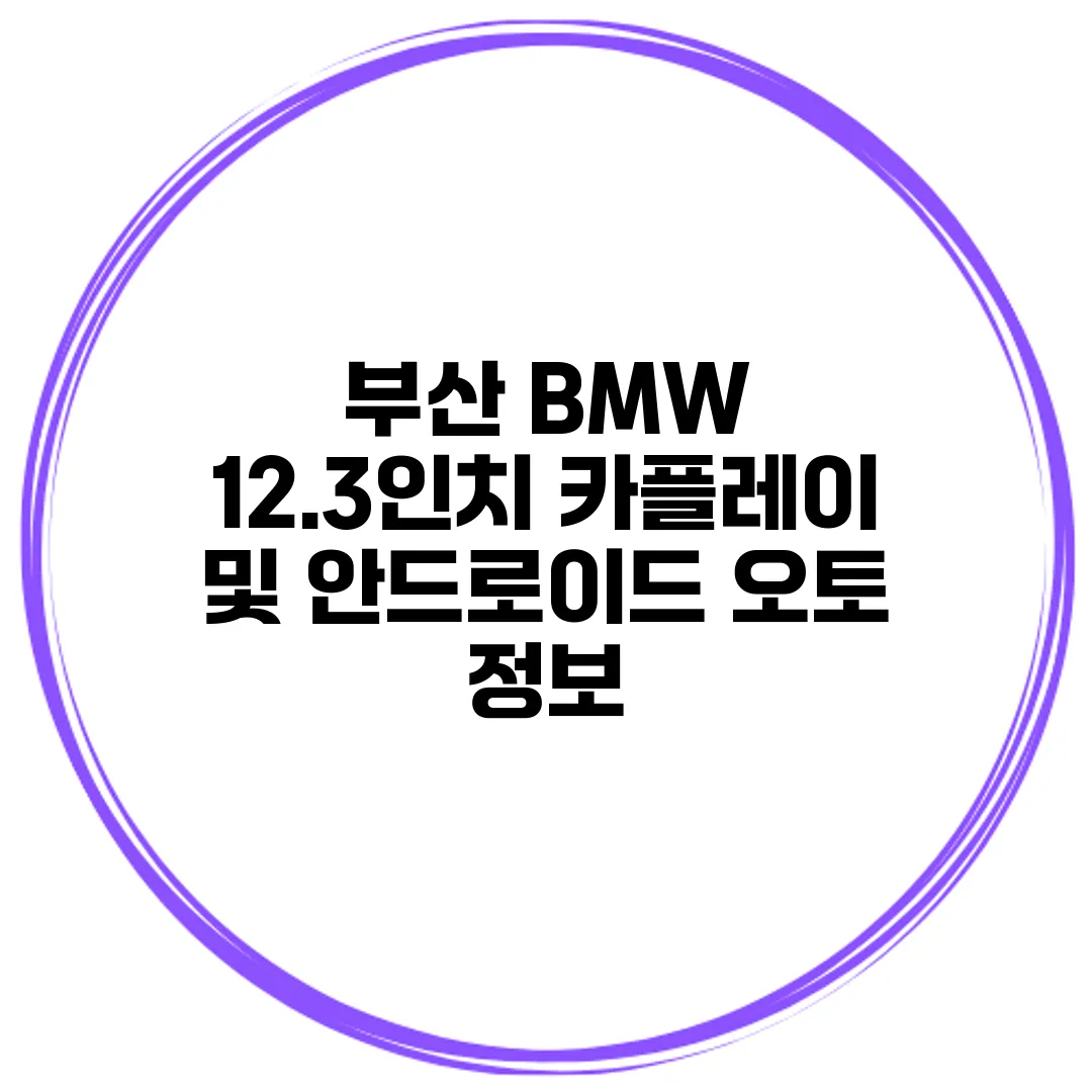 부산 BMW 12.3인치 카플레이 및 안드로이드 오토 정보