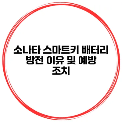 소나타 스마트키 배터리 방전 이유 및 예방 조치