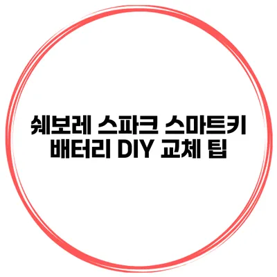 쉐보레 스파크 스마트키 배터리 DIY 교체 팁