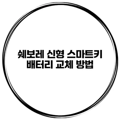 쉐보레 신형 스마트키 배터리 교체 방법