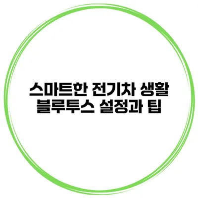 스마트한 전기차 생활 블루투스 설정과 팁