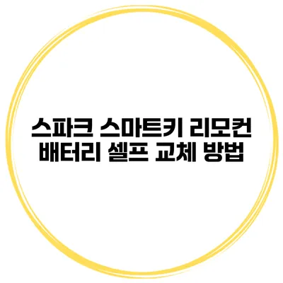 스파크 스마트키 리모컨 배터리 셀프 교체 방법