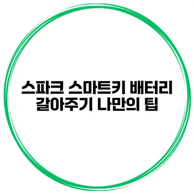 스파크 스마트키 배터리 갈아주기 나만의 팁