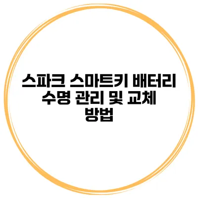스파크 스마트키 배터리 수명 관리 및 교체 방법