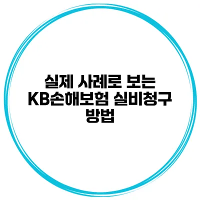실제 사례로 보는 KB손해보험 실비청구 방법