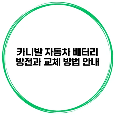 카니발 자동차 배터리 방전과 교체 방법 안내