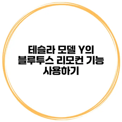 테슬라 모델 Y의 블루투스 리모컨 기능 사용하기