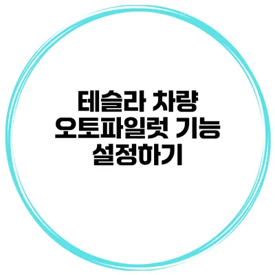 테슬라 차량 오토파일럿 기능 설정하기