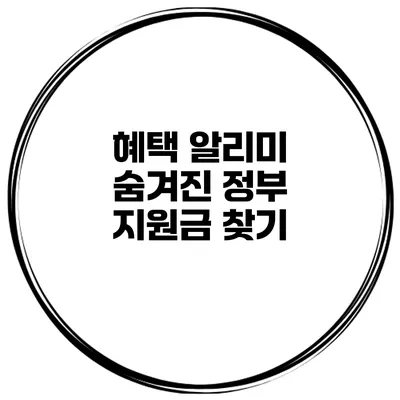 혜택 알리미 숨겨진 정부 지원금 찾기